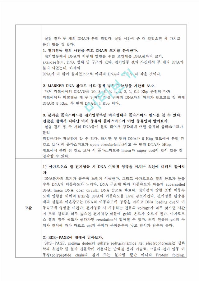 [의학,약학]생물학 실험 보고서 - 전기영동 보고서.hwp